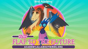 Flap to the Future