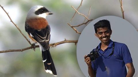 K. Selvaganesh, December 2017 eBirder of the Month