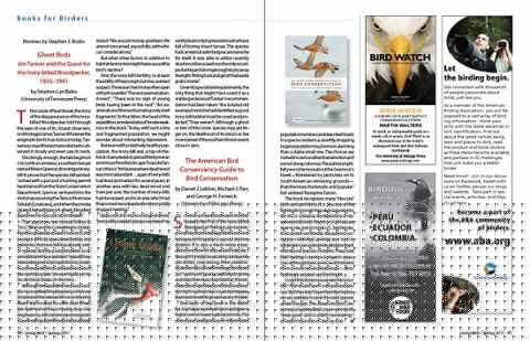 Book Review: Ghost Birds, by Stephen Lyn Bales