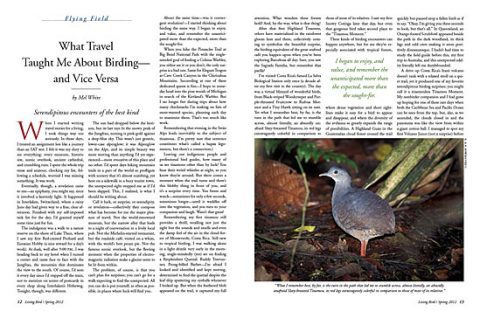 birding and travel
